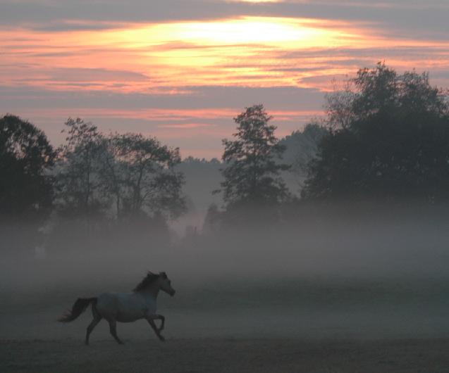 sunrise.jpg